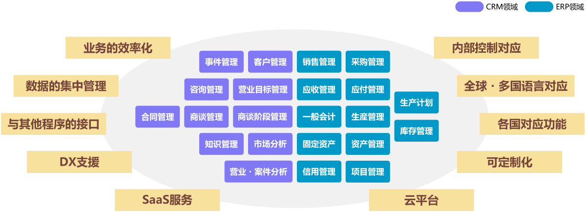 Dynamics 365 CRM / ERP的核心模块